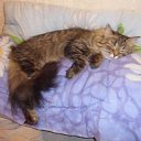  {} Den,  -  23  2012    