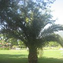 ���� ������, ������, 36 ��� - ��������� 1 �������� 2012 � ������ �� �� �����