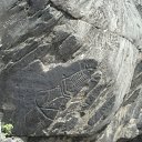  , , 54  -  3  2010    