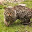 ���� �������, ������, 30 ��� - ��������� 19 ��� 2012