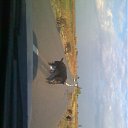 ���� �������, ������-��-����, 53 ���� - ��������� 31 ������ 2012 � ������ �� �������