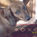 ���� ��������, �������� - ��������� 18 �������� 2010 � ������ ���������� ������