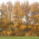 ���� �������, ������, 46 ��� - ��������� 28 ������� 2012 � ������ �������