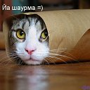 ���� ������, �����������, 51 ��� - ��������� 7 ��� 2012 � ������ �������