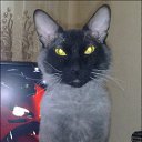 ���������� ���! �� ������� �������