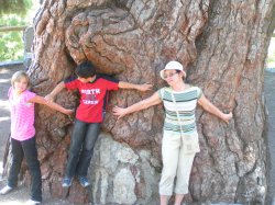 ���� ������, ������, 39 ��� - ��������� 19 ������ 2011