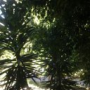 ���� Roman, ������, 48 ��� - ��������� 1 ����� 2012 � ������ ���� ����������