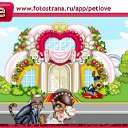  , , 36  -  22  2011   PetLove