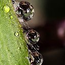 ���� �����, ������, 26 ��� - ��������� 11 �������� 2010 � ������ �����