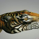 ���� ��@���, ��������� - ��������� 7 ������� 2011 � ������ ������-������........�