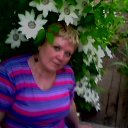 ���� ���������, ������� - ��������� 31 ��� 2011 � ������ ���� ������