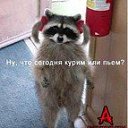 ��� ������ ����� )