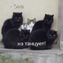 ���� �����k� ������, ����������, 49 ��� - ��������� 22 ������� 2010 � ������ �Demativators�