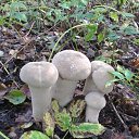 ���� �������, �����-���������, 53 ���� - ��������� 12 ���� 2012 � ������ ���� ����������