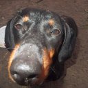 ���� �����, �������� - ��������� 2 ���� 2013 � ������ ����� ��� ������������