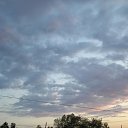  , --, 55  -  16  2010   