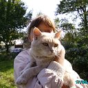  Nik, , 84  -  17  2012