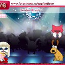 ���� ����, ����������, 47 ��� - ��������� 2 ������� 2010 � ������ �PetLove�