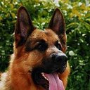 ���� ���������_2011, �������, 75 ��� - ��������� 23 ������� 2011 � ������ ���� ����������