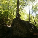 ���� �������, ������, 65 ��� - ��������� 24 ������ 2012 � ������ ���� ����������