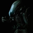 ���� ����� ������, �����, 43 ���� - ��������� 7 ������� 2012 � ������ ���� ����������