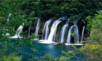  , , 39  -  16  2012         ...