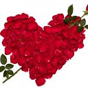  ir@ge))) ))), , 47  -  22  2010   