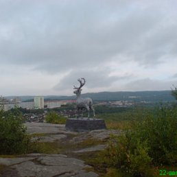 ���� Angel, �����������, 43 ���� - ��������� 15 ������� 2010