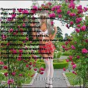 ���� ����, ���, 46 ��� - ��������� 8 ���� 2013 � ������ ���� ����������