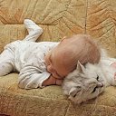   ( - !), , 59  -  19  2011   RoadKing