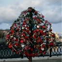 ���� Zyf, ������, 55 ��� - ��������� 29 ������ 2011 � ������ ��������