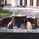  (  ),  , 54  -  3  2010    