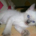  , , 26  -  10  2010    =)
