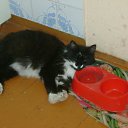   ( -        ,  -  14  2010      