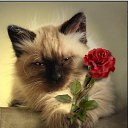 ���� �����, ������, 45 ��� - ��������� 29 ������� 2012 � ������ ���� ����������