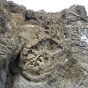 ���� �����, ��������, 45 ��� - ��������� 3 ������� 2010 � ������ ����� �������