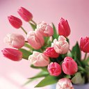 ���� ����� - ���������� ��������!!!, �����������, 56 ��� - ��������� 15 ������ 2010 � ������ �������� ��� ���� :-)))�