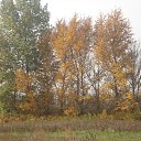 ���� �������, ������, 46 ��� - ��������� 28 ������� 2012 � ������ �������