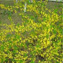 ���� ���� ����, ����������, 50 ��� - ��������� 19 ����� 2010 � ������ ������-2009�