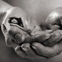 ���� �����, ����, 41 ��� - ��������� 2 ������� 2013