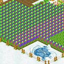 ���� �������, ���������, 38 ��� - ��������� 21 ������ 2012 � ������ ������� �������