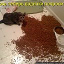 ���� ����, �����, 50 ��� - ��������� 19 ��� 2010 � ������ ������������