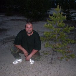 ��������, ����, 54 ����