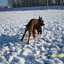 ���� �����, ���������, 64 ���� - ��������� 31 ������ 2011 � ������ �������,����� � �����....�