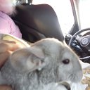 ���� �������, ������, 44 ���� - ��������� 21 ������ 2012 � ������ ���� �����