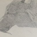 ���� ���, ����������, 37 ��� - ��������� 1 ������� 2009 � ������ �"��� �������"�