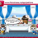 ���� ����, �����������, 58 ��� - ��������� 4 ���� 2011 � ������ �PetLove�
