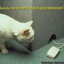 ���� I Rishka I Graiu, ���� - ��������� 29 ����� 2010 � ������ �@~$~@~$~@�