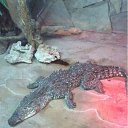 ���� ���, �����, 42 ���� - ��������� 8 ����� 2012 � ������ ���� ����