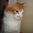 ���� ����, ���������, 24 ���� - ��������� 28 ������ 2012 � ������ ��������)�